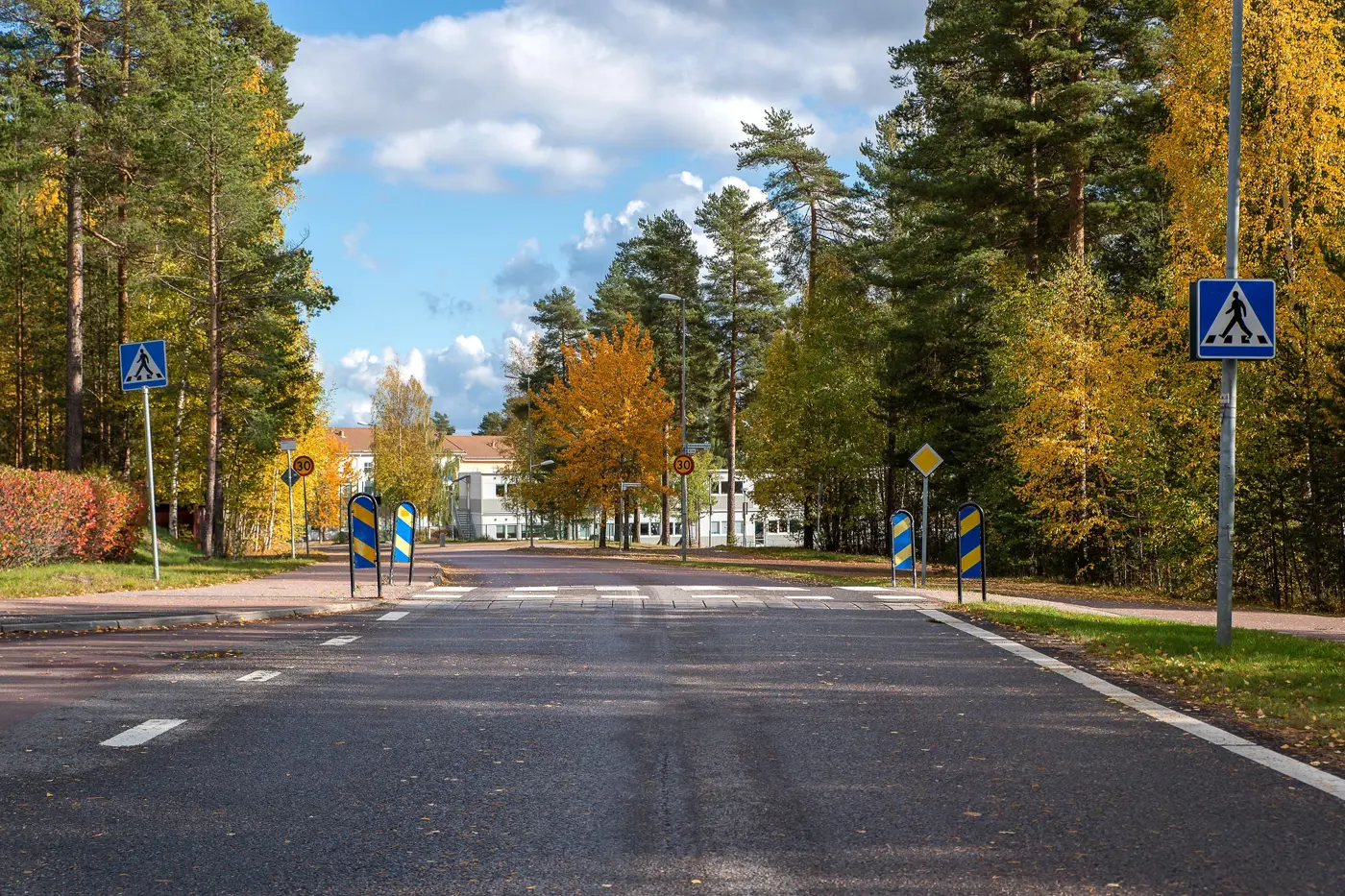 En bilväg med ett övergångsställe lite längre fram.