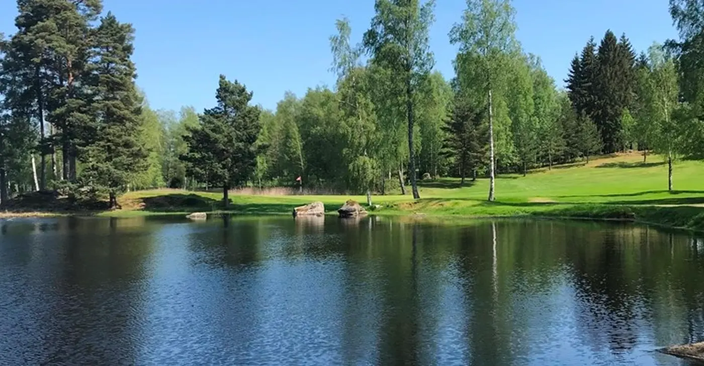 En sjö och träd på sommaren.